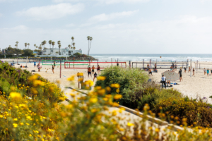 Del Mar Beach in Del Mar, CA