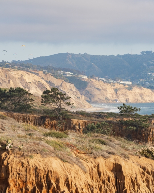 2026 Goal: Connect with nature (and luxury). 

Put Torrey Pines State Natural Reserve at the top of your list. The iconic ocean-view trails are the perfect setting to clear your mind—and the best part is coming home. 

After your hike, retreat to this stunning 3BR Craftsman in Del Mar, just minutes away. With disappearing pocket doors that blend indoor-outdoor living and a master balcony with sweeping ocean views, it’s the ultimate sanctuary to recharge your legs and your soul.

Link in bio to book this dream coastal retreat. 

#TorreyPines #DelMarLiving #HikingAdventures #LuxuryRental #CraftsmanHome #WellnessTravel #StayWithPSPlatinum