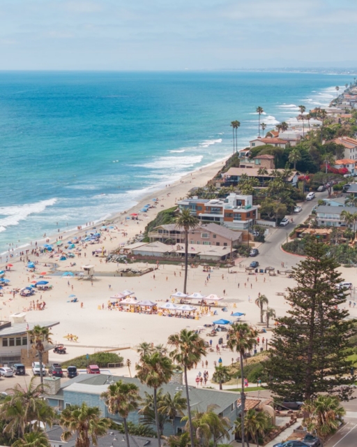 If Carlsbad is the “Village by the Sea,” Encinitas is its cool, bohemian older sister. 

Known as one of the best surf towns in the world, this community runs on a different clock. It’s a place where meditation gardens sit above world-class breaks, and flip-flops are acceptable formal wear.

The Encinitas aesthetic: 

Moonlight Beach: The heartbeat of the town—perfect for volleyball, bonfires, and sunset picnics.

Historic Downtown: The neon glow of the Encinitas sign and the classic marquee of La Paloma Theatre. 

Meditation Gardens: Koi ponds and golden domes perched on the cliffs for ultimate zen.

Come for the waves, stay for the vibe. Link in bio to browse our Encinitas collection.

#EncinitasLife #MoonlightBeach #LaPalomaTheatre #Swamis #VisitEncinitas PSPlatinum