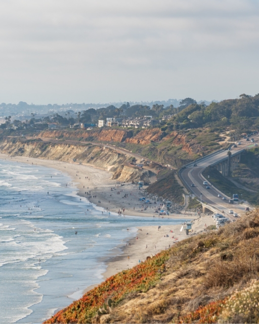 There are only five days left in February... have you checked these off your San Diego bucket list yet? 

Before the month is over, make sure you take advantage of:

- San Diego Museum Month: Your last chance to get 50% off admission at over 70 spots (including the USS Midway and Birch Aquarium).
- Peak Gray Whale Migration: The whales are still passing close to shore—don't miss a luxury sail to see them!
- Oceanside International Film Festival: Running right now through the 28th

Make the most of the rest of the month! Read the full list of our favorite February things to do at the link in our bio.

#SanDiegoEvents #VisitSanDiego #MuseumMonth #OceansideFilmFest #WhaleWatching #PSPlatinum #LuxuryRentals