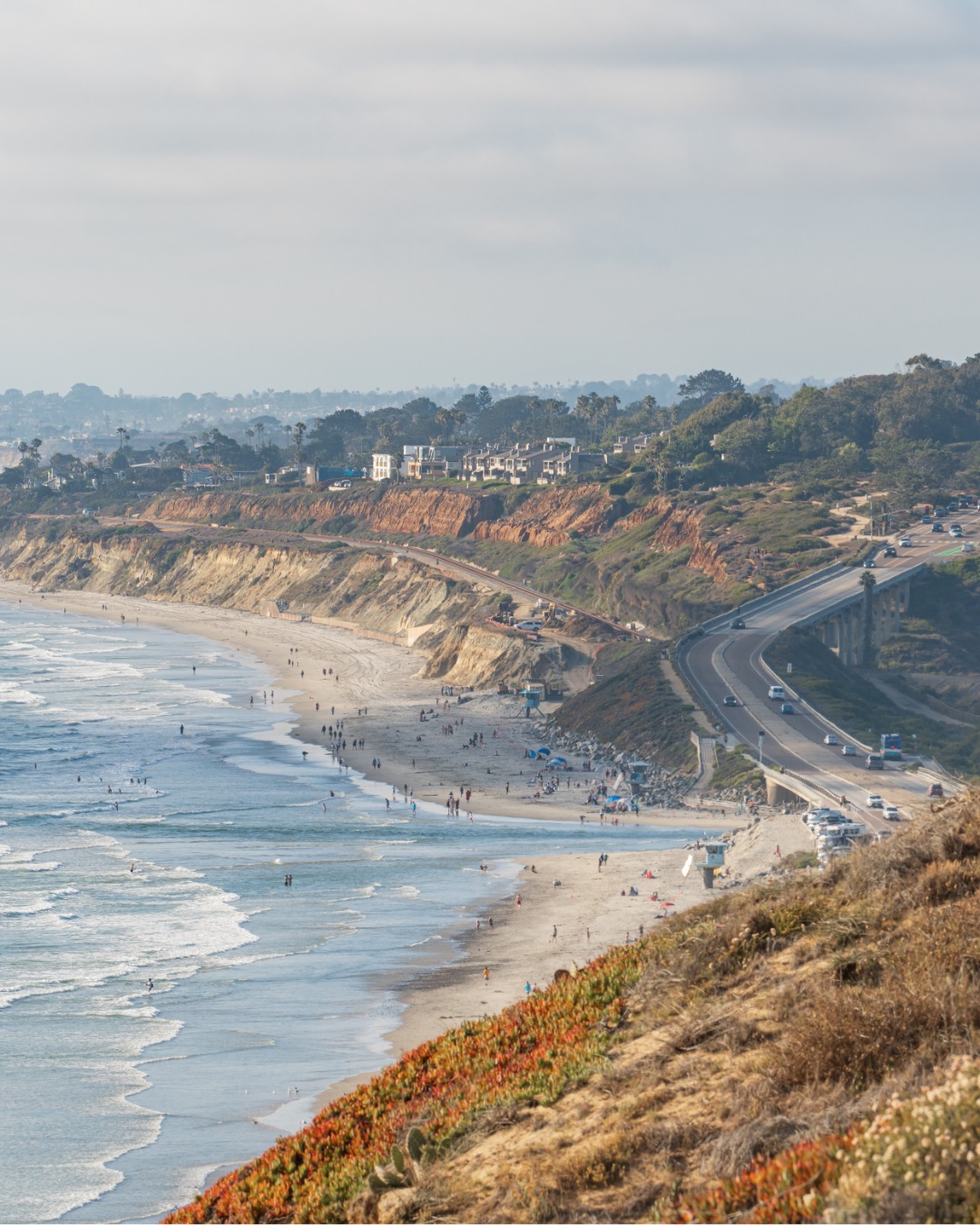 There are only five days left in February... have you checked these off your San Diego bucket list yet? 

Before the month is over, make sure you take advantage of:

- San Diego Museum Month: Your last chance to get 50% off admission at over 70 spots (including the USS Midway and Birch Aquarium).
- Peak Gray Whale Migration: The whales are still passing close to shore—don't miss a luxury sail to see them!
- Oceanside International Film Festival: Running right now through the 28th

Make the most of the rest of the month! Read the full list of our favorite February things to do at the link in our bio.

#SanDiegoEvents #VisitSanDiego #MuseumMonth #OceansideFilmFest #WhaleWatching #PSPlatinum #LuxuryRentals
