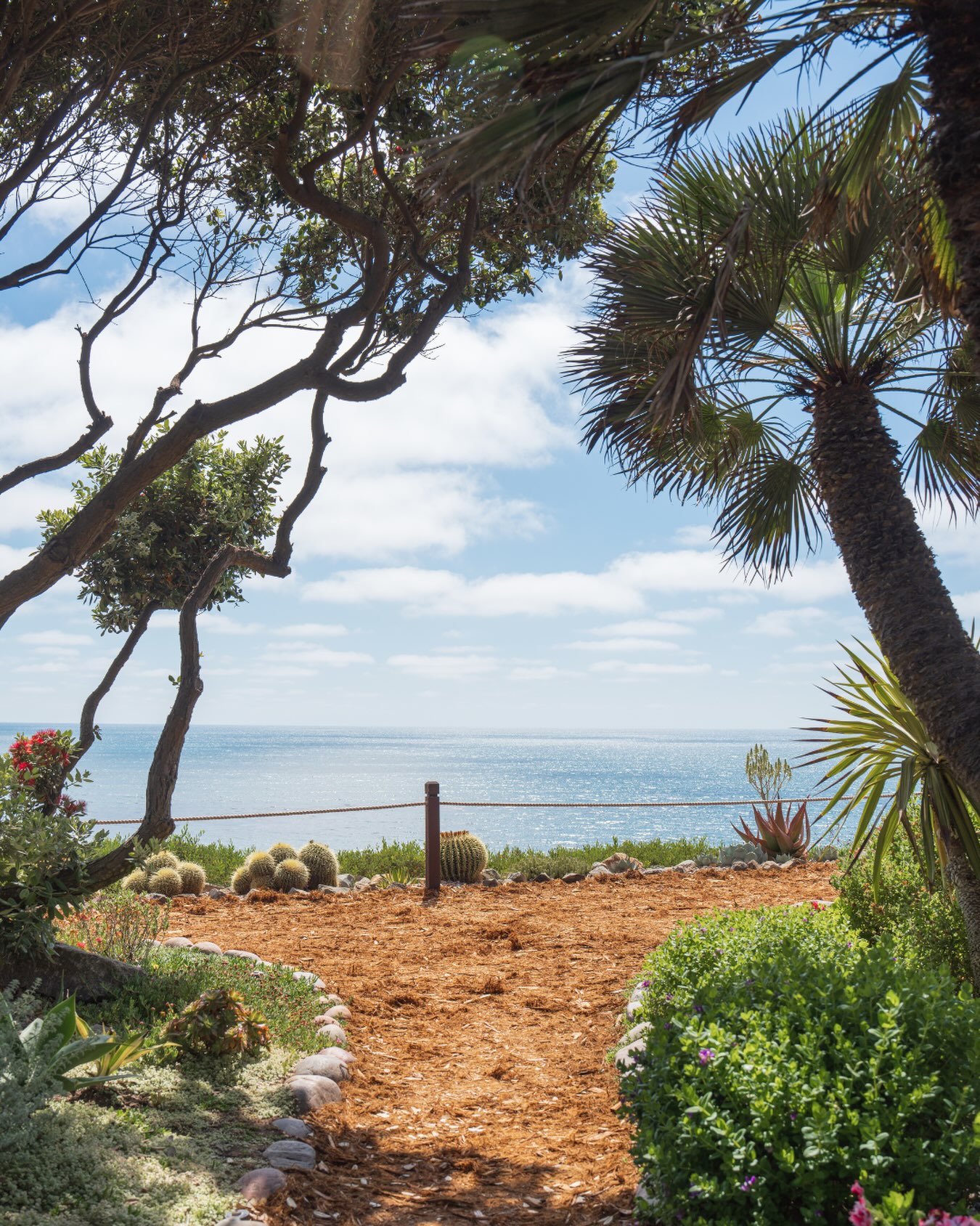 Behind every great stay is a team that actually picks up the phone.

We’ve been hosting guests in North County San Diego for 23 years. Long enough to know every great restaurant, every surf break, and exactly what makes a vacation rental feel like a home instead of just a house.

We’re glad you’re here.

Questions about booking? DM us anytime.

#MeetTheTeam #PSPlatinum #ConciergeService #SanDiegoLocal #VacationRental PropertyManagement NorthCountySD LuxuryService TeamSpotlight SanDiegoRental CoastalLiving NorthCountySanDiego VacationRentalLife DelMar LocalExperts