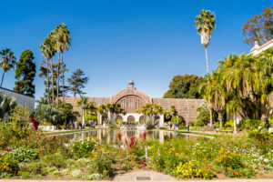 image of a botanical garden at Balboa Park in San Diego, CA