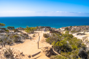 Torrey Pines Hike in Del Mar, CA