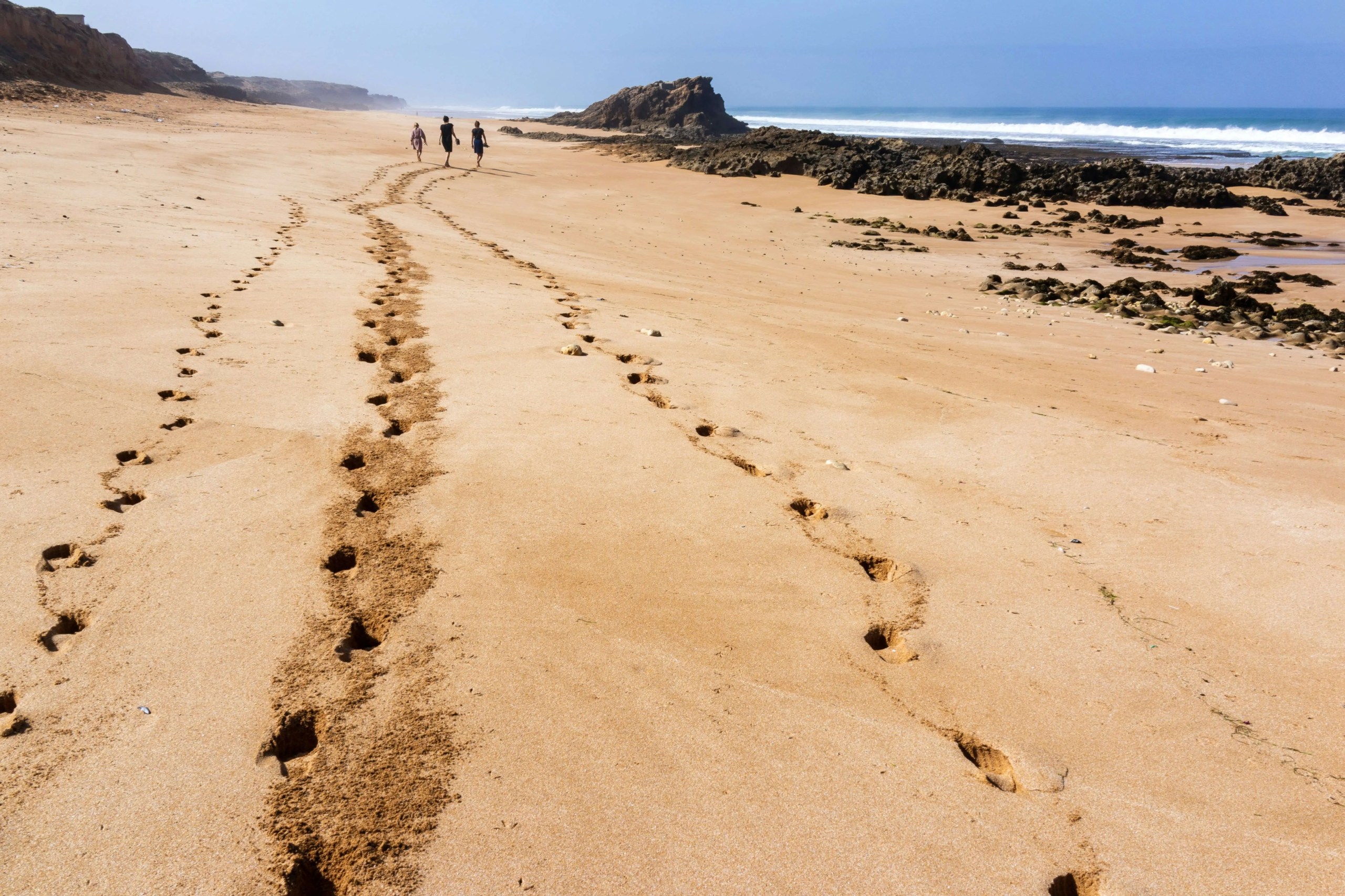 Coastal walk in Beach San Diego